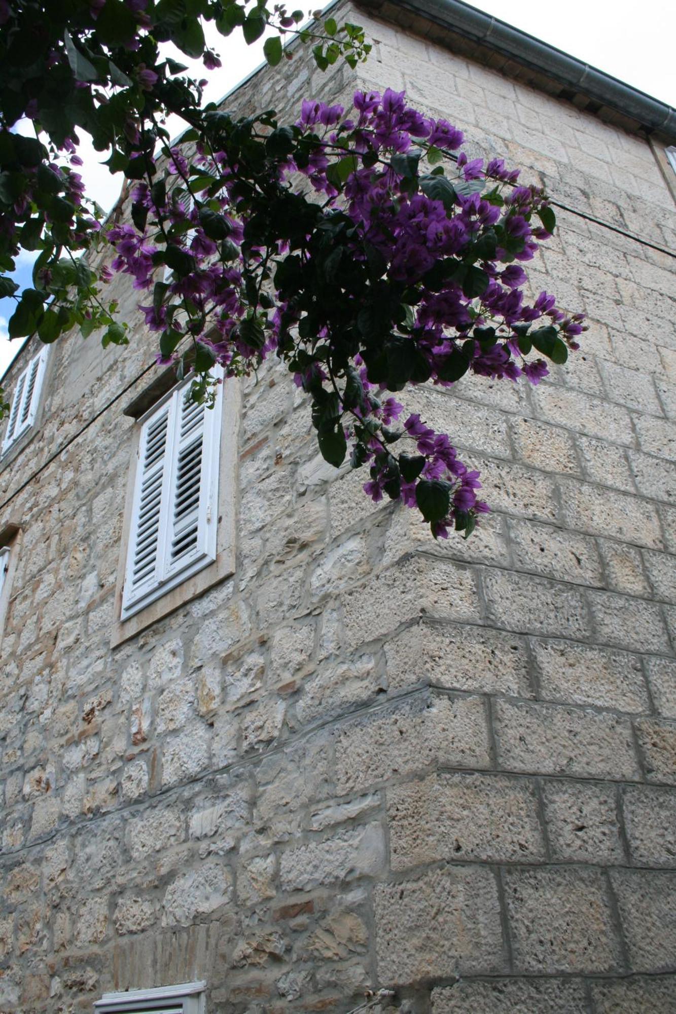 Holiday Home Isabella Vis Exterior photo